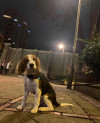 Foto de Romulo en  Bogotá #0