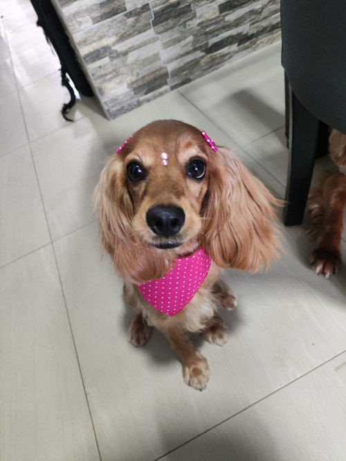 Minnie