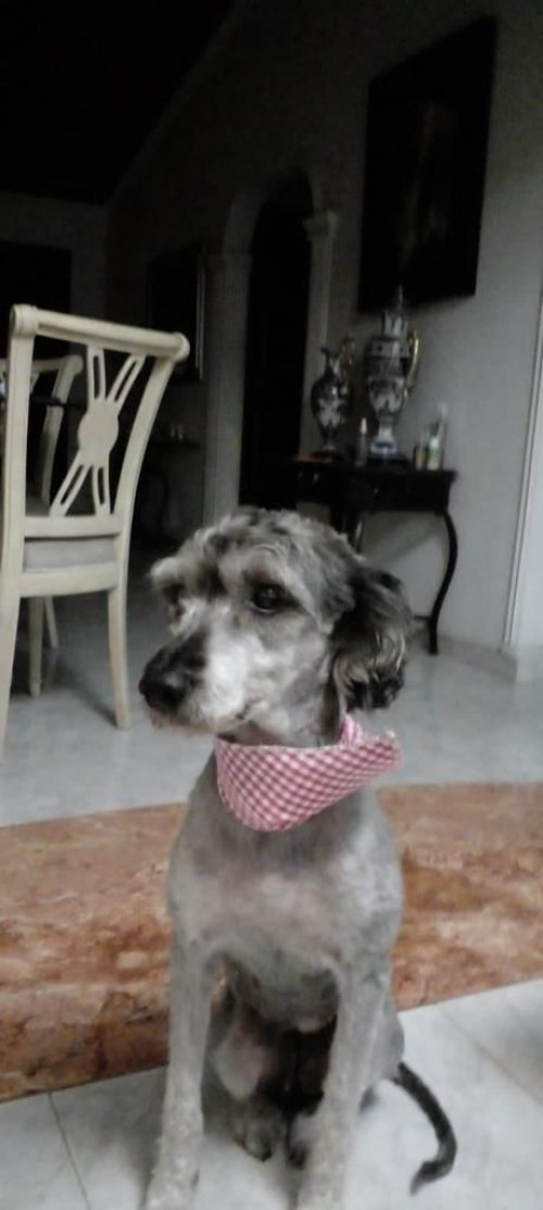 Fiona