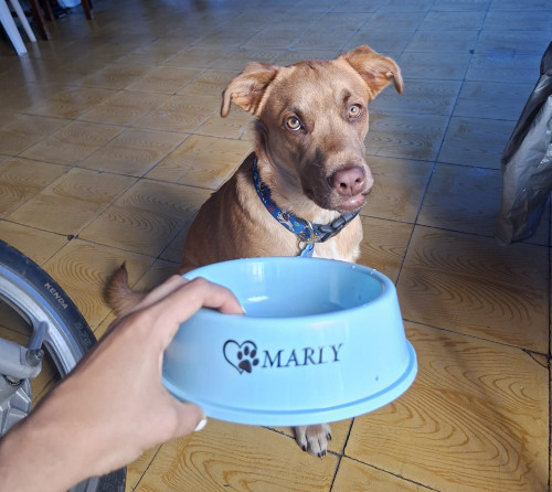 Marly