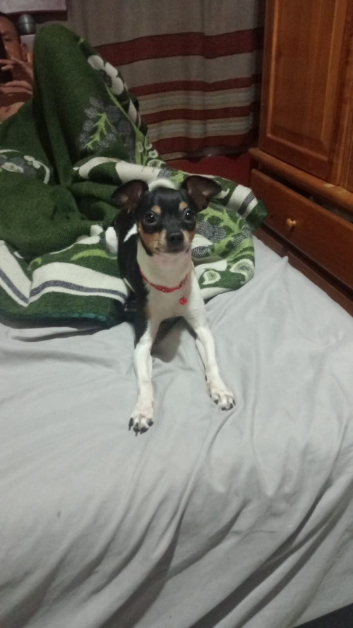 Max Y Princesa