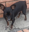 Foto de Niño en  Bogotá #0