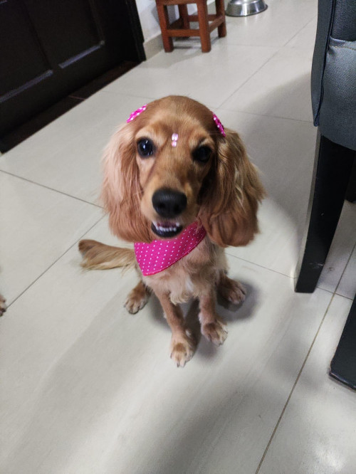 Minnie