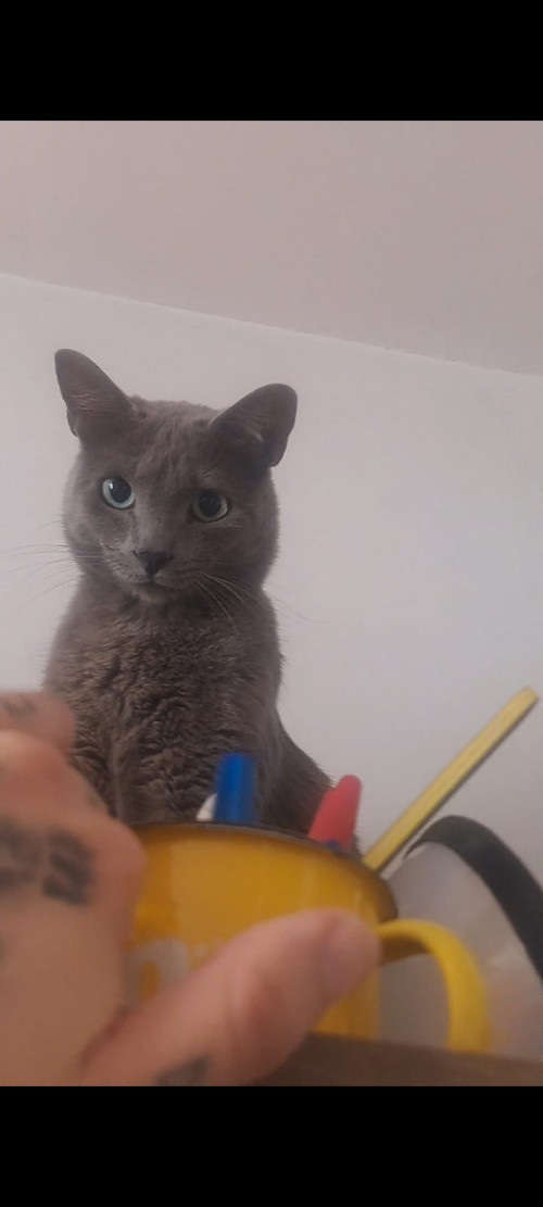 Ragnar