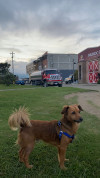 Foto de Forex en San Pedro de los Milagros Antioquia #2
