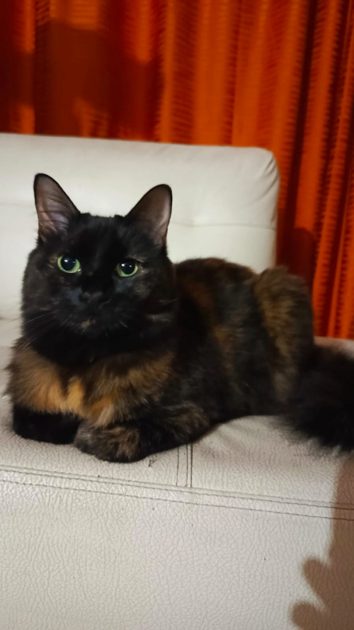 Lu
