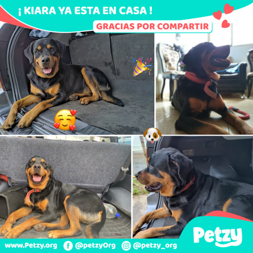 Foto de mascota Kiara