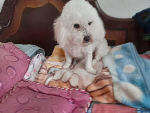 Samy
