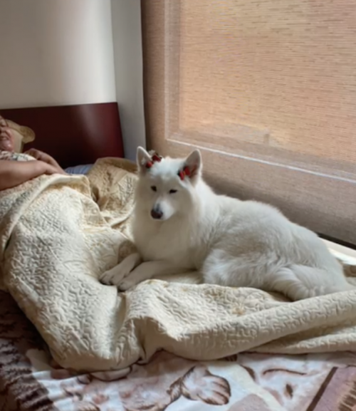 Kira