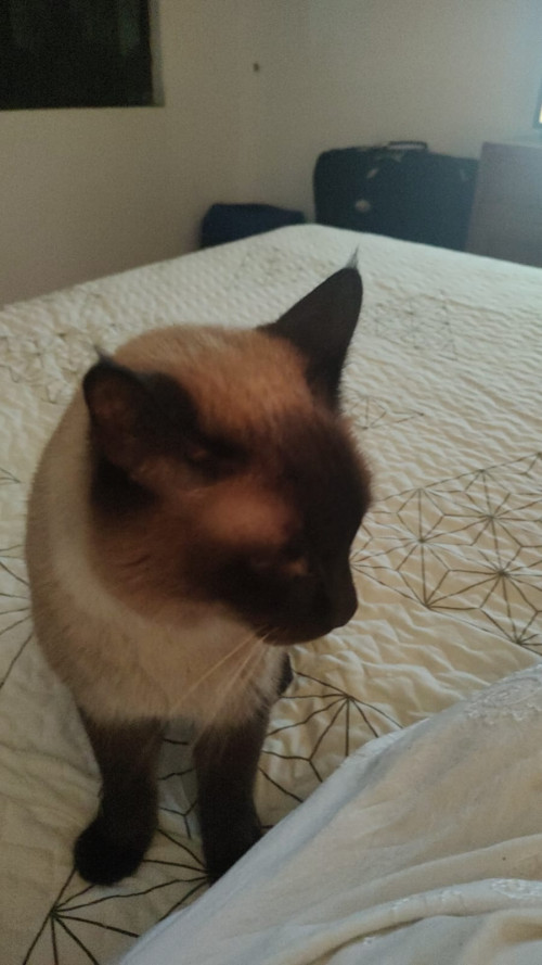 Oliver