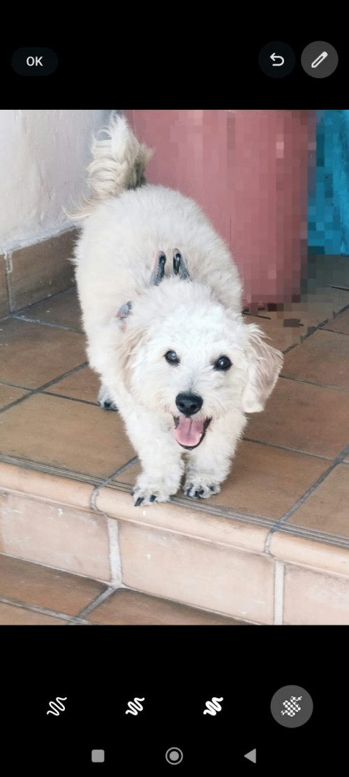 Max