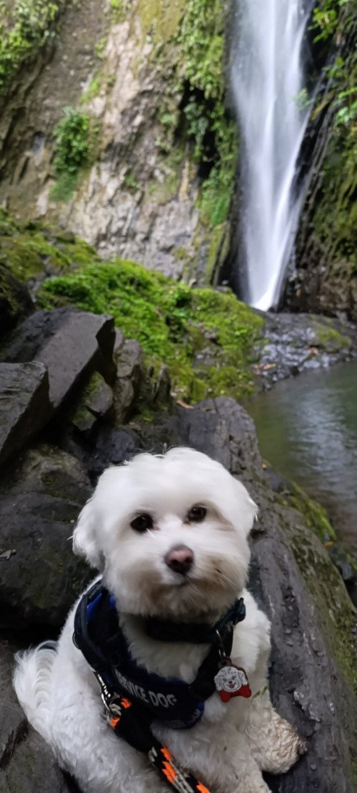 Max