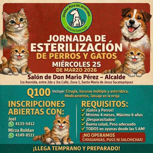 Foto de mascota Campaña De Esterilización Santa MarÍa De JesÚs SacatepÉquez