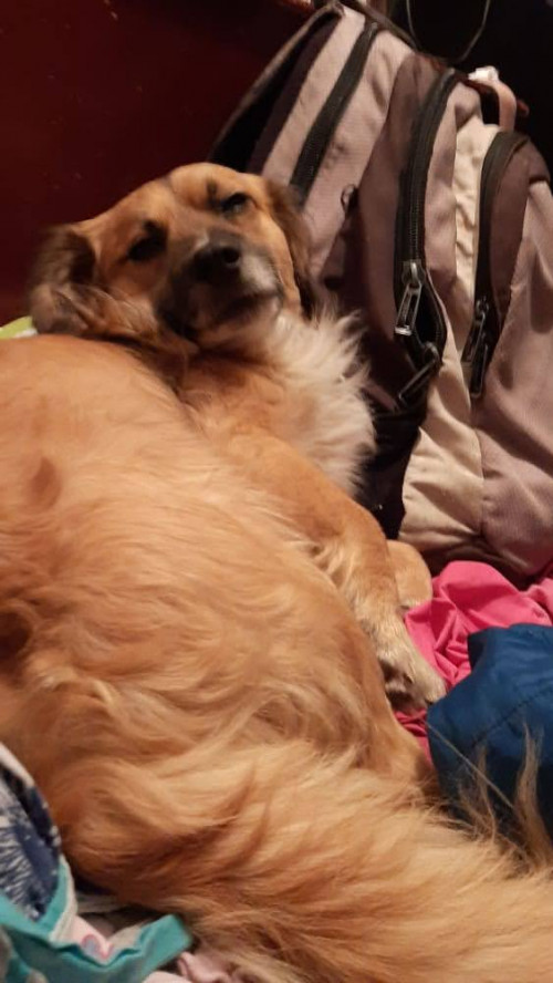 Zeus