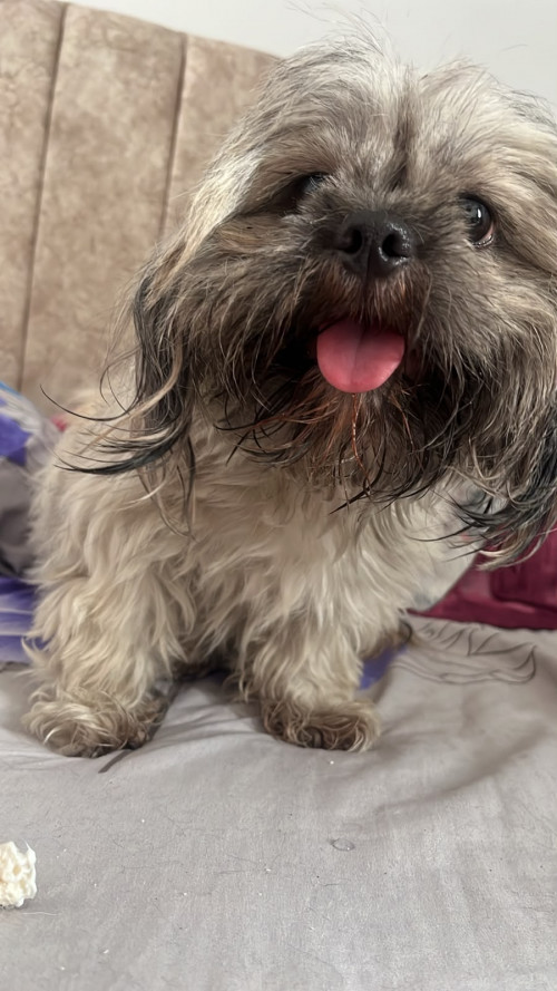 Lupita