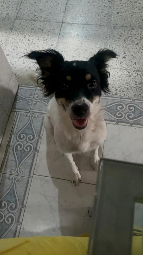 Luna
