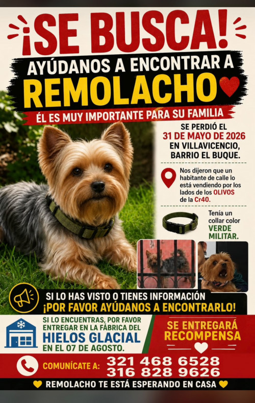 Remolacho