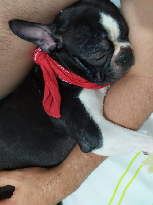 Mia
