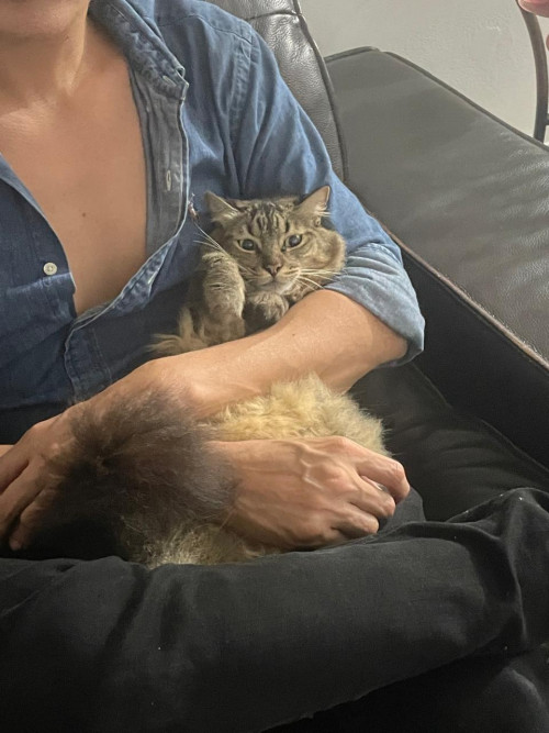 Gary