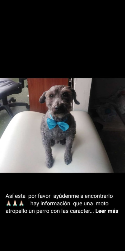 Toby