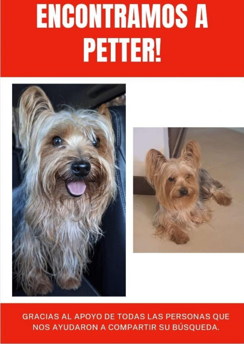 Petter