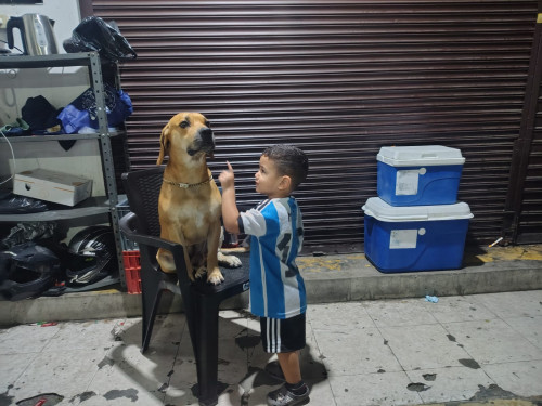Apolo