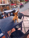 Foto de Cofee en Bello Antioquia #1