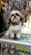 Foto de Susy en  Bogota #0