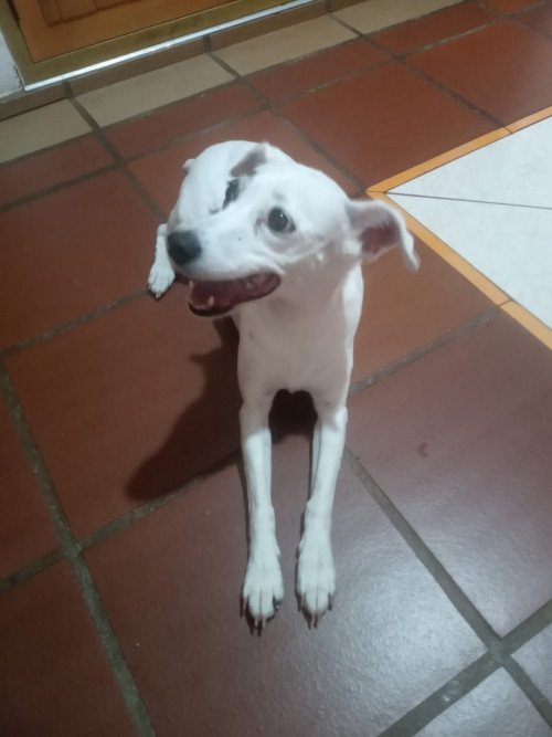 Luna