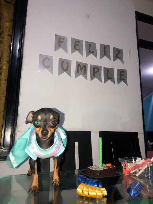 Mía