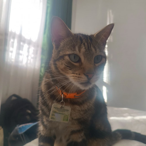 Florencio