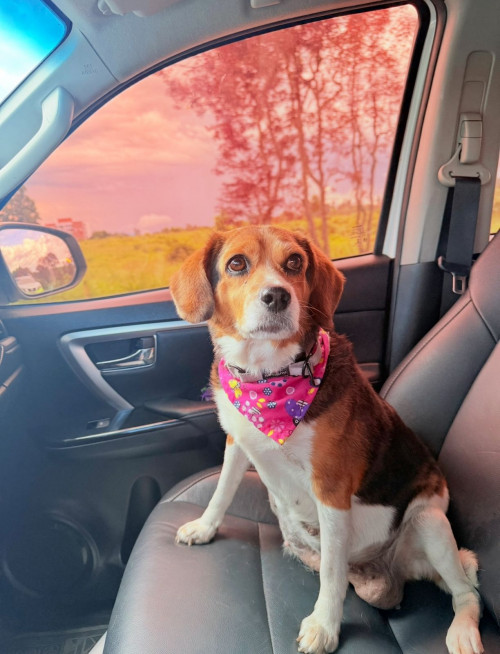 Maggie