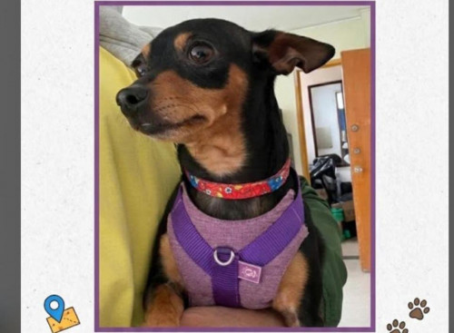 Max Y Princesa