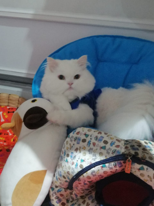 Gary