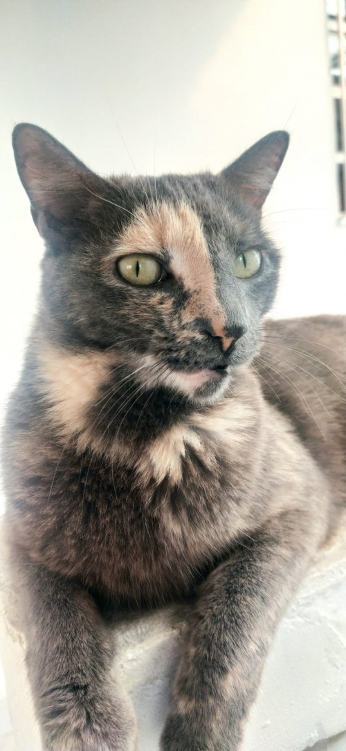 Lucy