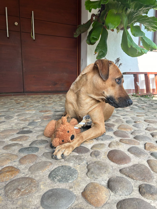 Rita