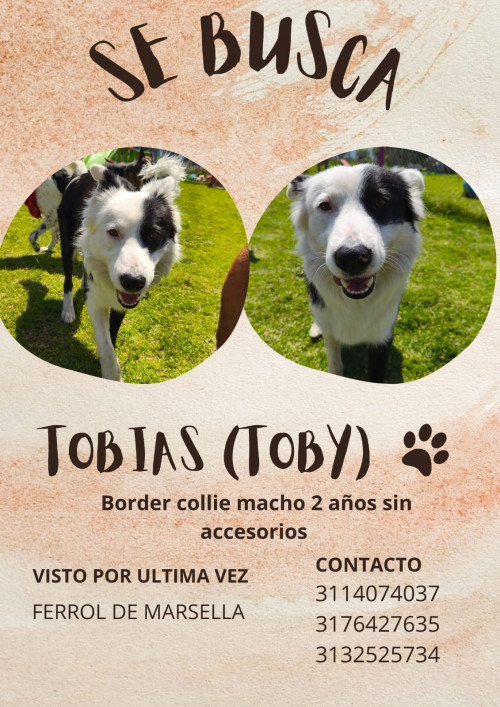 Tobias (toby)