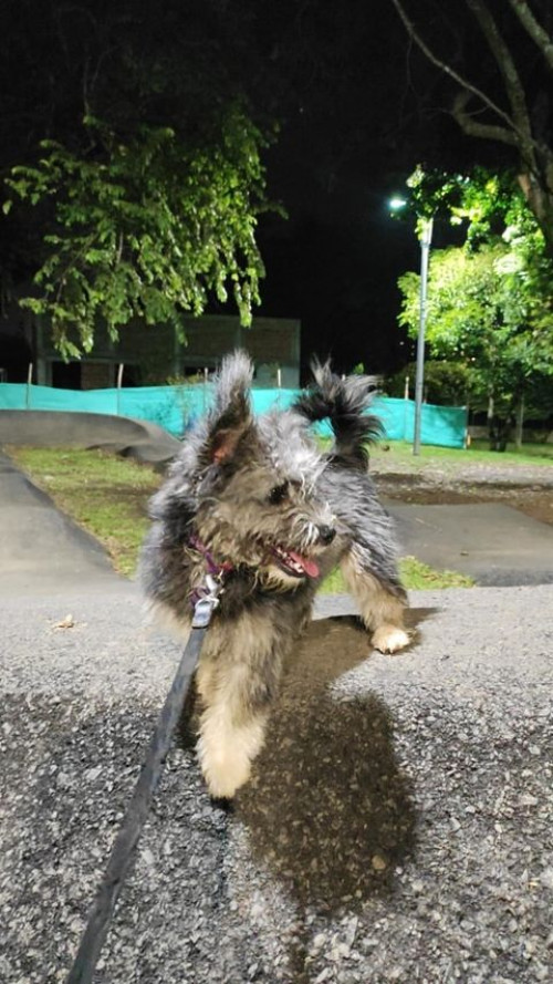 Almendra