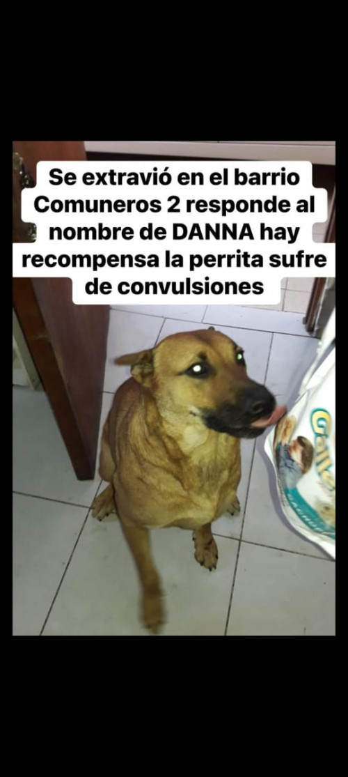 Danna