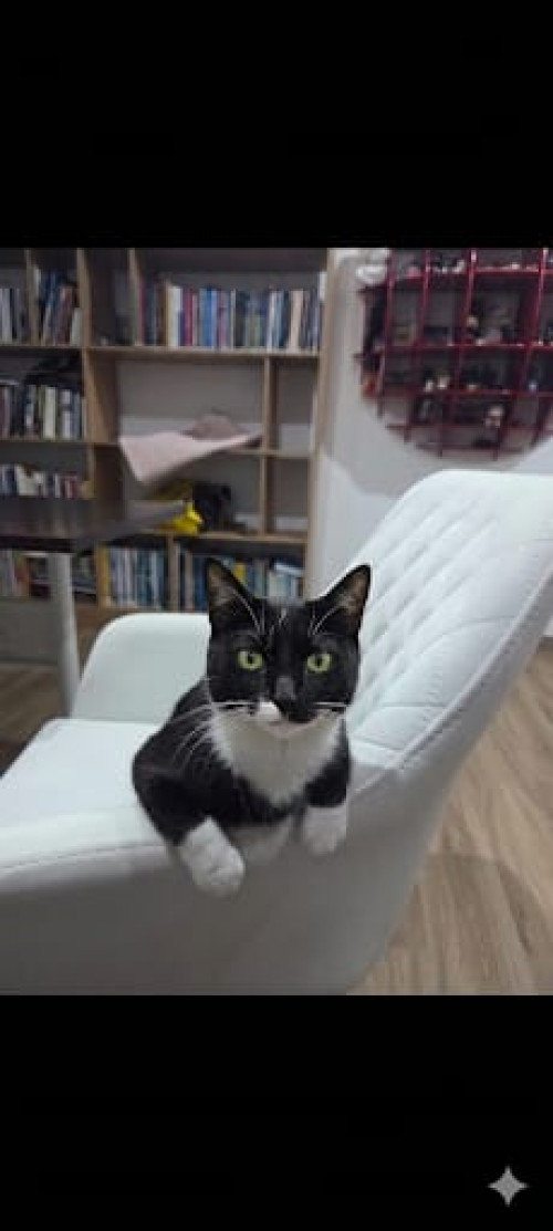 Luna