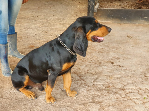 Roky