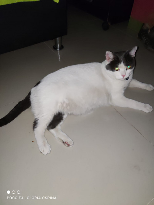 Martín