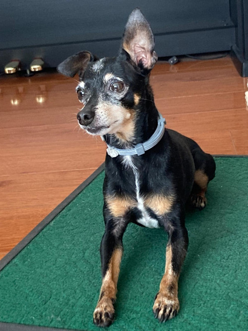 Milo
