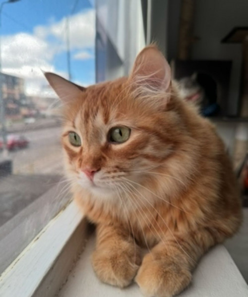 Benito