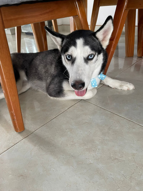 Luna