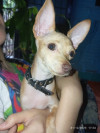 Foto de Wilson en Neiva Huila #1