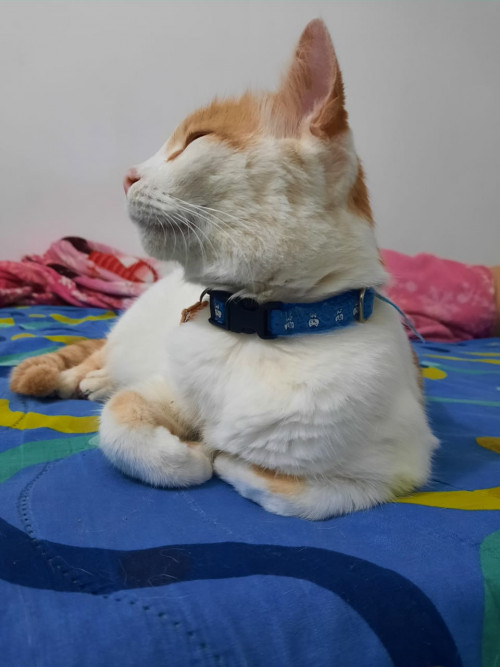 Milu