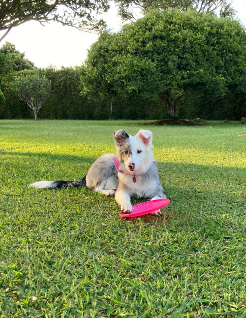 Keiko Uribe