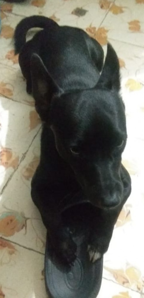 Yiren