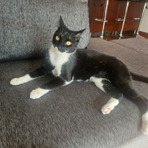Luna